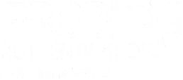 Probitas Authenticated AS9100 Lead Auditor